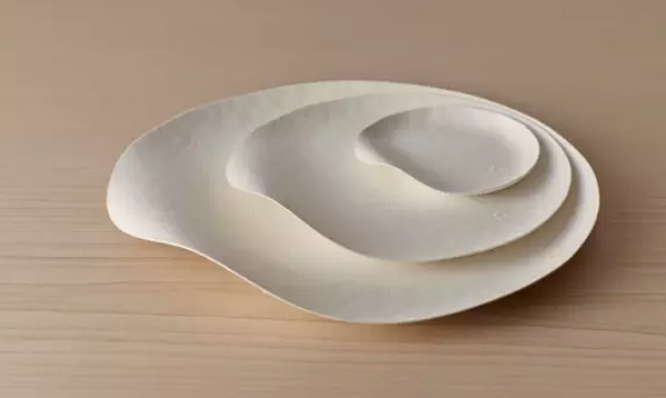 一次性餐具竟然美得像藝術(shù)品?。?）.png